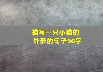 描写一只小猫的外形的句子50字