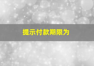 提示付款期限为