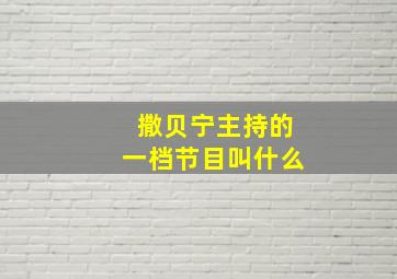 撒贝宁主持的一档节目叫什么