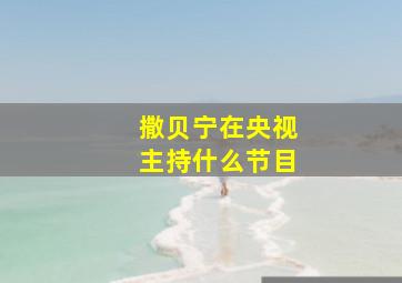 撒贝宁在央视主持什么节目