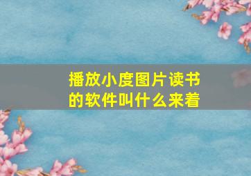 播放小度图片读书的软件叫什么来着