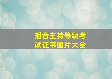 播音主持等级考试证书图片大全