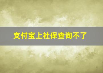 支付宝上社保查询不了