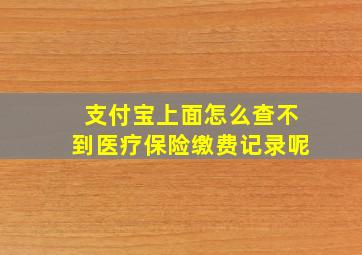 支付宝上面怎么查不到医疗保险缴费记录呢