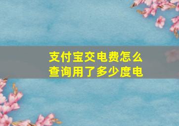 支付宝交电费怎么查询用了多少度电