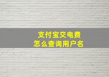 支付宝交电费怎么查询用户名