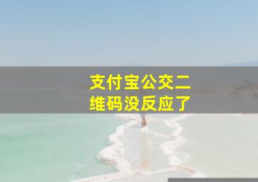 支付宝公交二维码没反应了