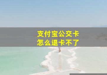 支付宝公交卡怎么退卡不了