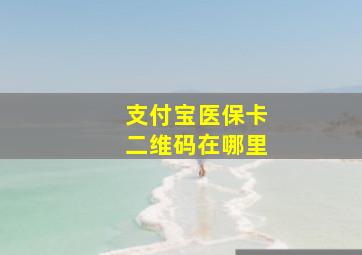 支付宝医保卡二维码在哪里