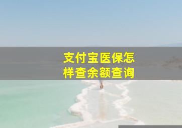 支付宝医保怎样查余额查询