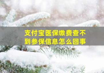 支付宝医保缴费查不到参保信息怎么回事