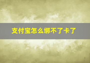 支付宝怎么绑不了卡了