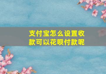 支付宝怎么设置收款可以花呗付款呢