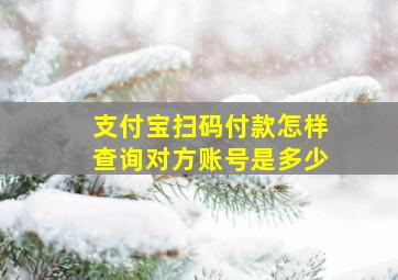 支付宝扫码付款怎样查询对方账号是多少