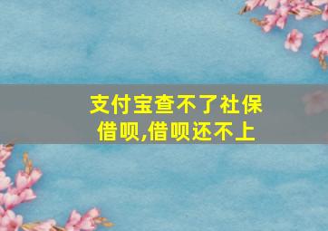 支付宝查不了社保借呗,借呗还不上