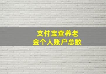 支付宝查养老金个人账户总数