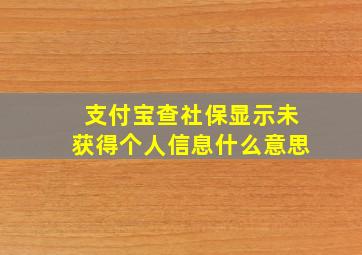 支付宝查社保显示未获得个人信息什么意思