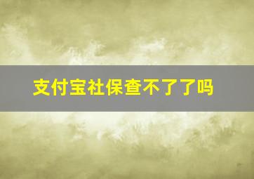 支付宝社保查不了了吗