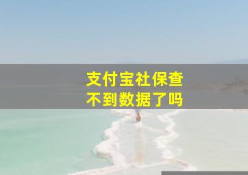 支付宝社保查不到数据了吗