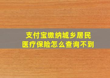 支付宝缴纳城乡居民医疗保险怎么查询不到