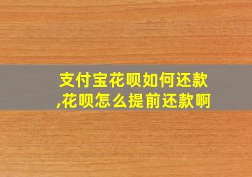 支付宝花呗如何还款,花呗怎么提前还款啊