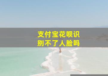 支付宝花呗识别不了人脸吗