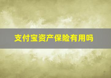 支付宝资产保险有用吗