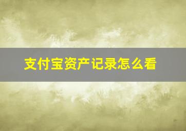 支付宝资产记录怎么看