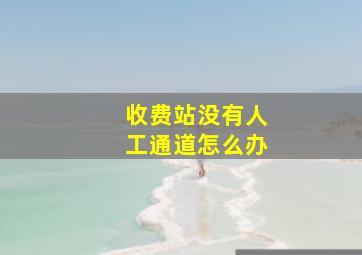 收费站没有人工通道怎么办