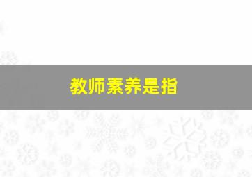 教师素养是指