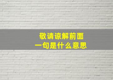 敬请谅解前面一句是什么意思