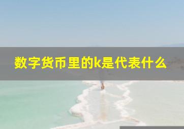 数字货币里的k是代表什么