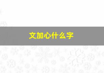 文加心什么字