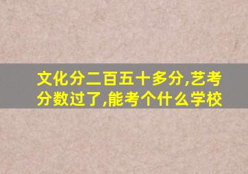 文化分二百五十多分,艺考分数过了,能考个什么学校