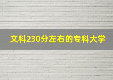 文科230分左右的专科大学