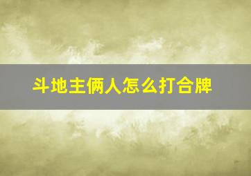 斗地主俩人怎么打合牌