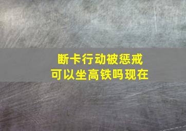 断卡行动被惩戒可以坐高铁吗现在