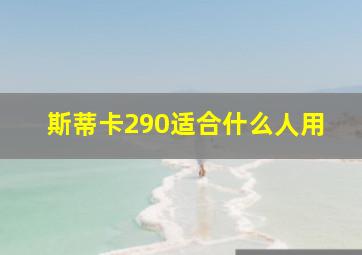 斯蒂卡290适合什么人用