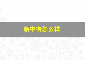 新中街怎么样