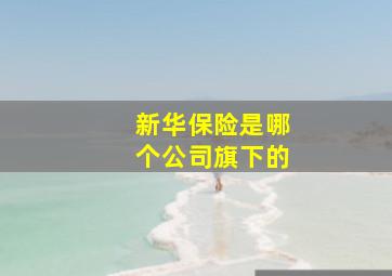 新华保险是哪个公司旗下的