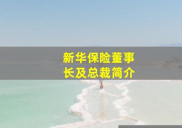 新华保险董事长及总裁简介