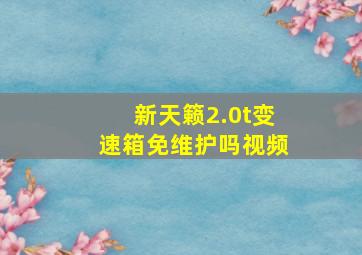 新天籁2.0t变速箱免维护吗视频