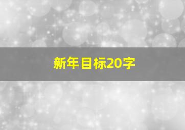 新年目标20字