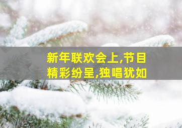 新年联欢会上,节目精彩纷呈,独唱犹如