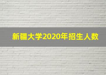 新疆大学2020年招生人数