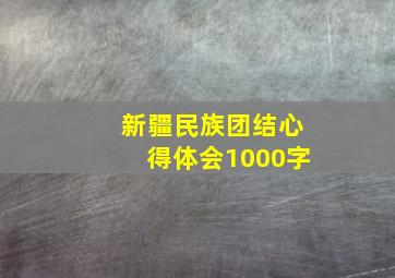 新疆民族团结心得体会1000字