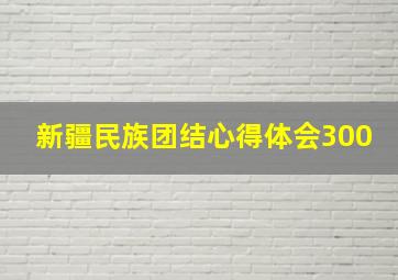 新疆民族团结心得体会300