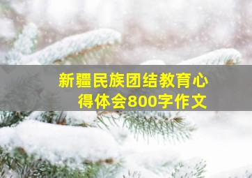 新疆民族团结教育心得体会800字作文