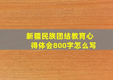 新疆民族团结教育心得体会800字怎么写