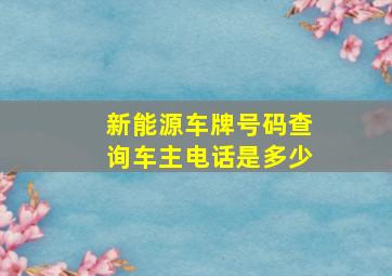 新能源车牌号码查询车主电话是多少